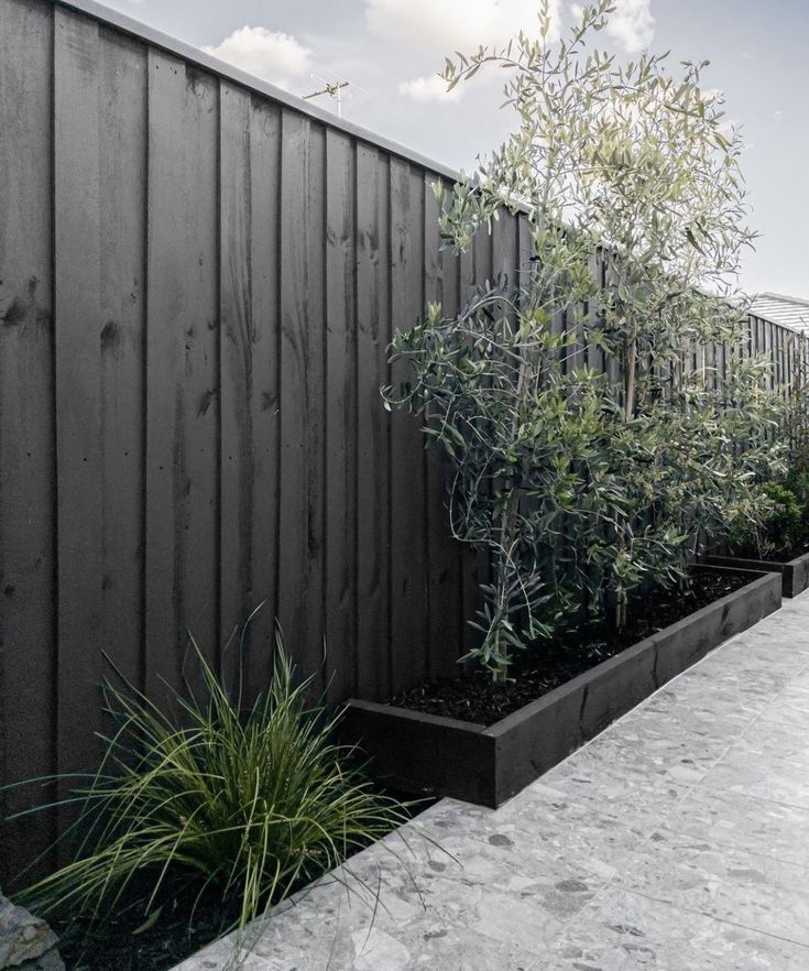 an outdoor garden with black planters on the side of a fenced in area