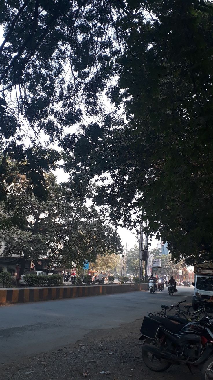 there are many motorcycles parked on the side of the road in front of some trees