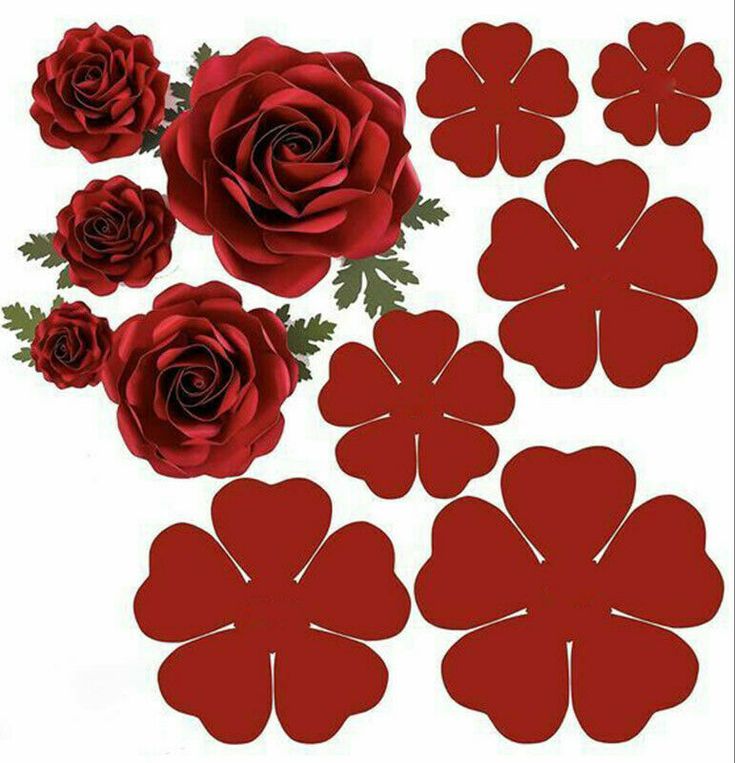 red paper flowers and leaves are arranged on a white background, with one flower in the center