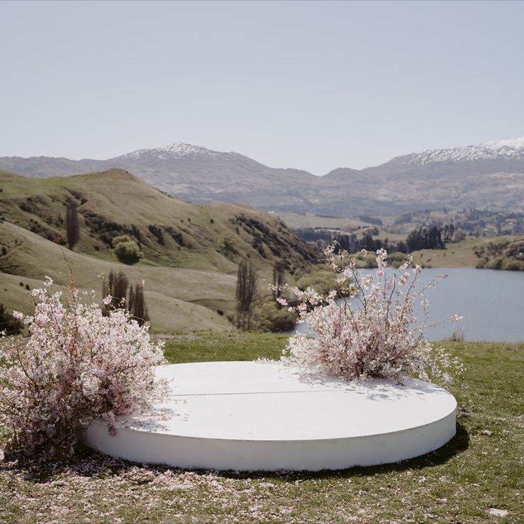 a large white object sitting on top of a lush green field next to a lake