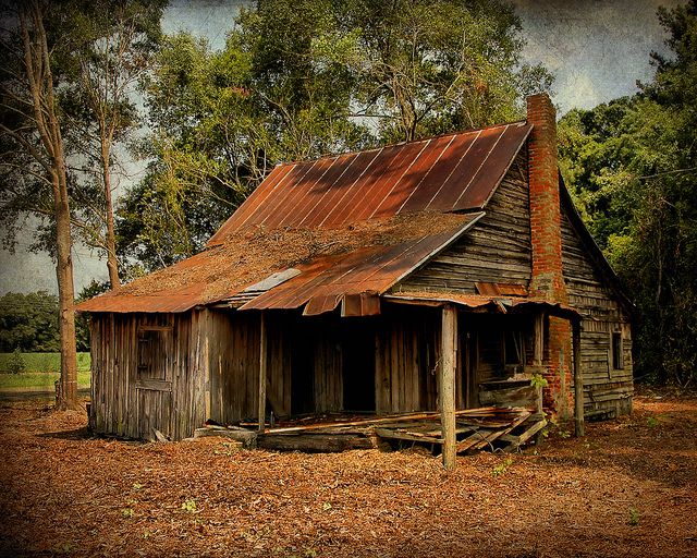 an old run down house with rusted tin roof in the middle of a forest