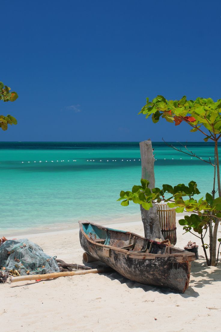 a boat sitting on top of a sandy beach next to the ocean with trees growing out of it