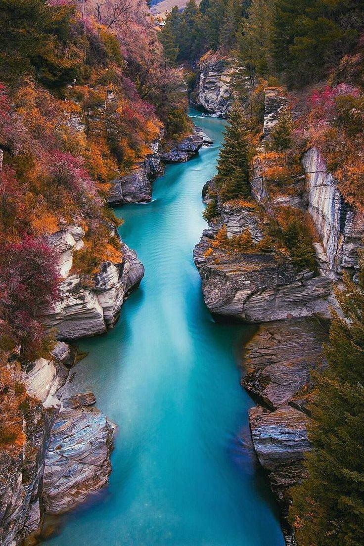 a river flowing through a lush green forest covered in fall foliage and surrounded by tall trees