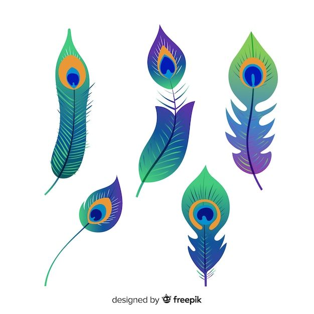 four different colored feathers on a white background