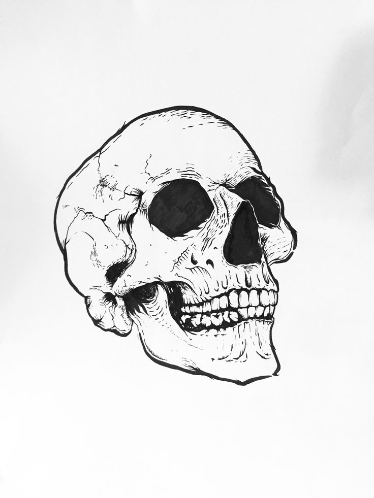 a black and white drawing of a human skull