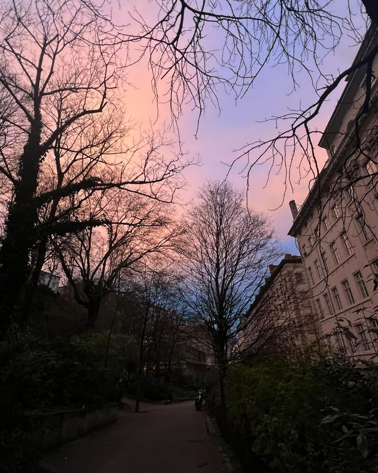 the sun is setting over some buildings and trees in the foreground with no leaves on them