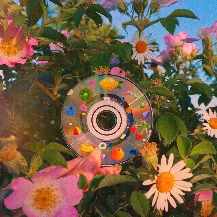 a cd sitting in the middle of some pink and white flowers with green leaves around it