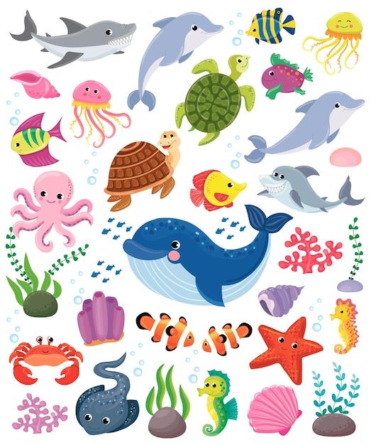 an ocean scene with sea animals and fish