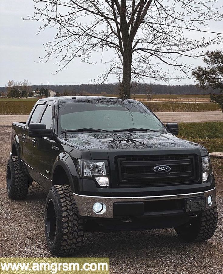 a large black truck parked in a parking lot next to a tree with no leaves on it