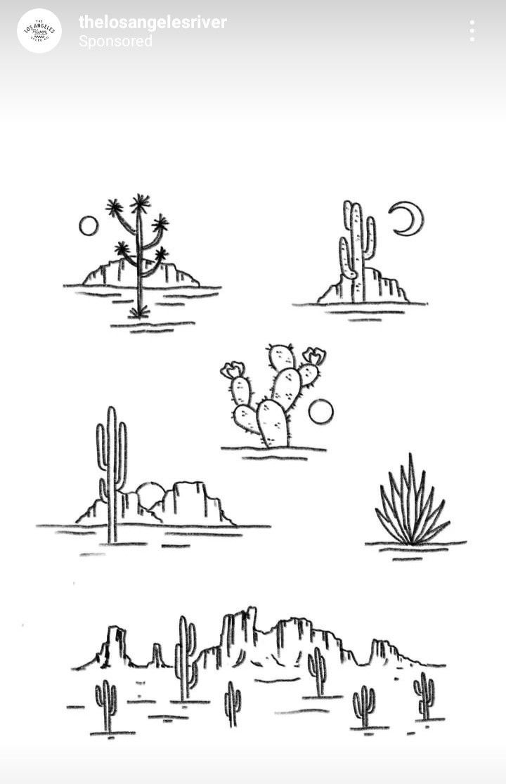 four different types of cactus plants in the desert