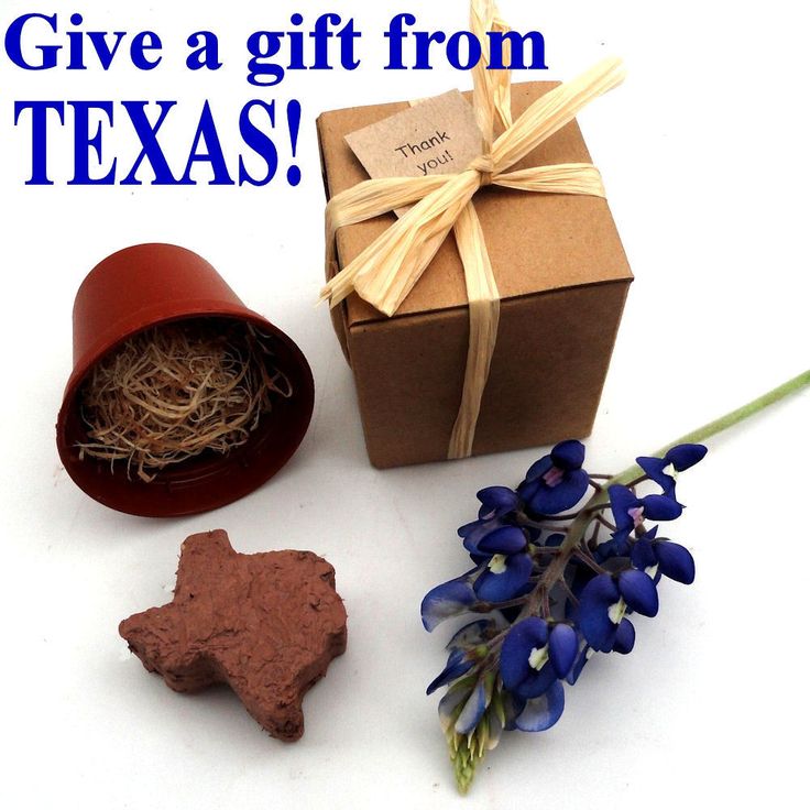 a gift box and some blue flowers on a white table with a brown paper wrapped around it