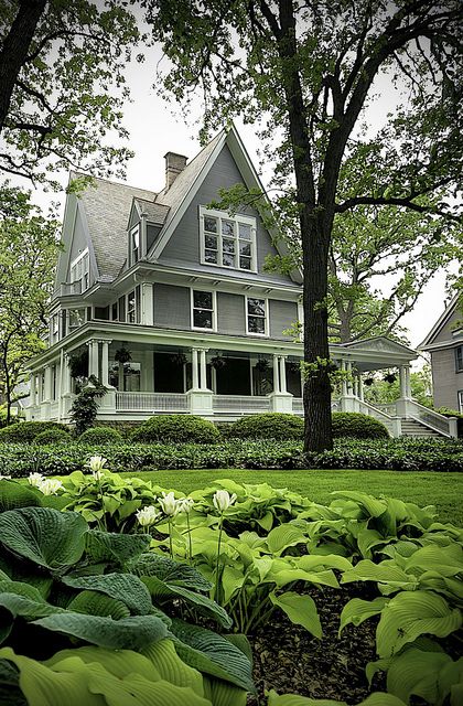 a large house surrounded by lush green plants