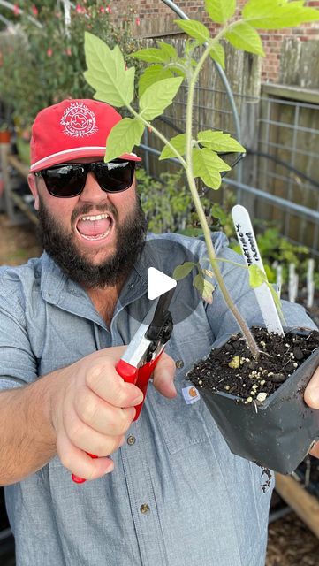 a man holding up a plant with scissors in it