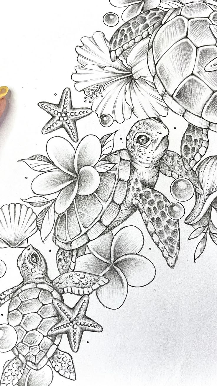 a pencil drawing of sea turtles and starfishs with flowers on the bottom right hand side