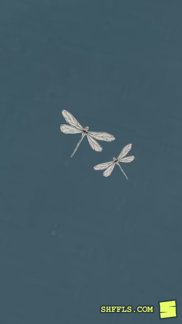 two white dragonflies flying in the sky