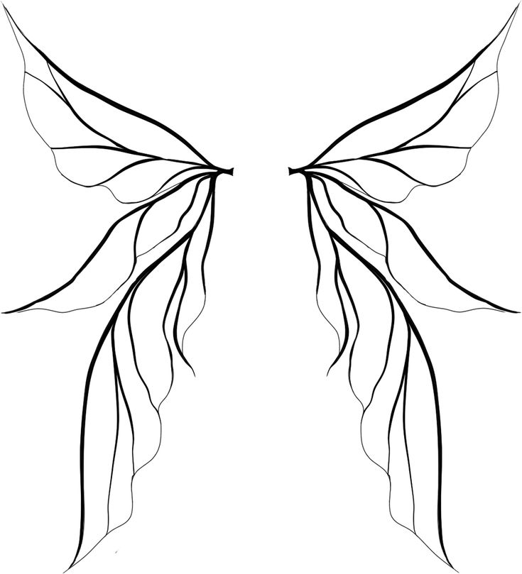 the outline of a butterfly's wings is shown in black and white