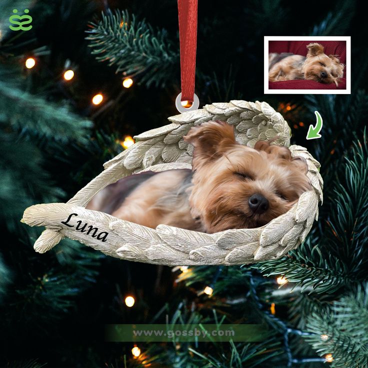 a dog ornament hanging from a christmas tree with a photo of it's owner