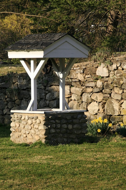 a white gazebo sitting in the grass next to a stone wall and yellow daffodils