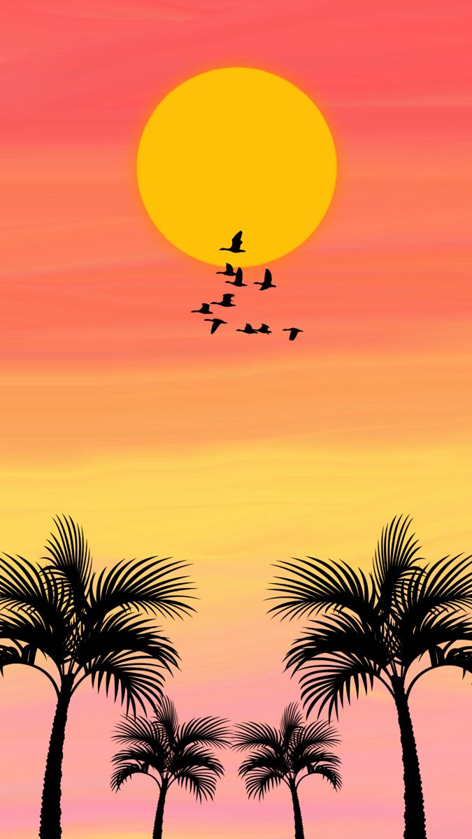 birds flying in the sky over palm trees at sunset