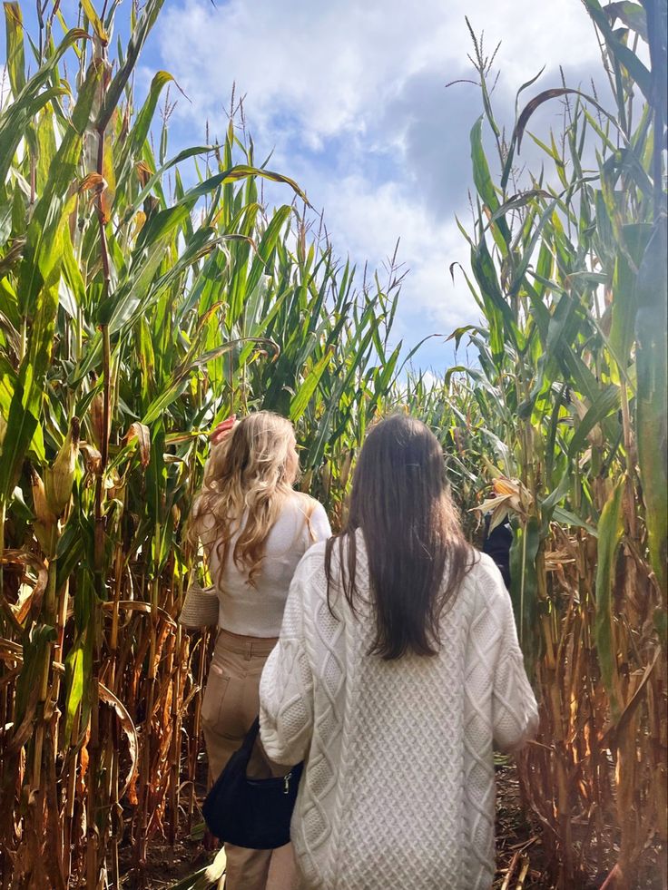 two women walking through a corn field