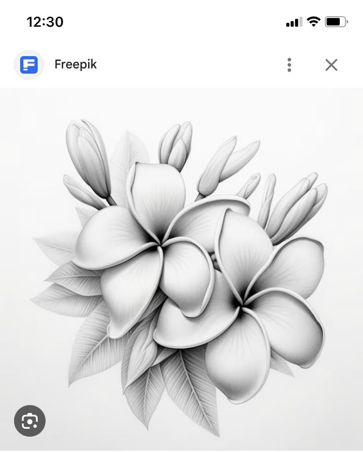 a drawing of flowers on a white background with the words freepik below it