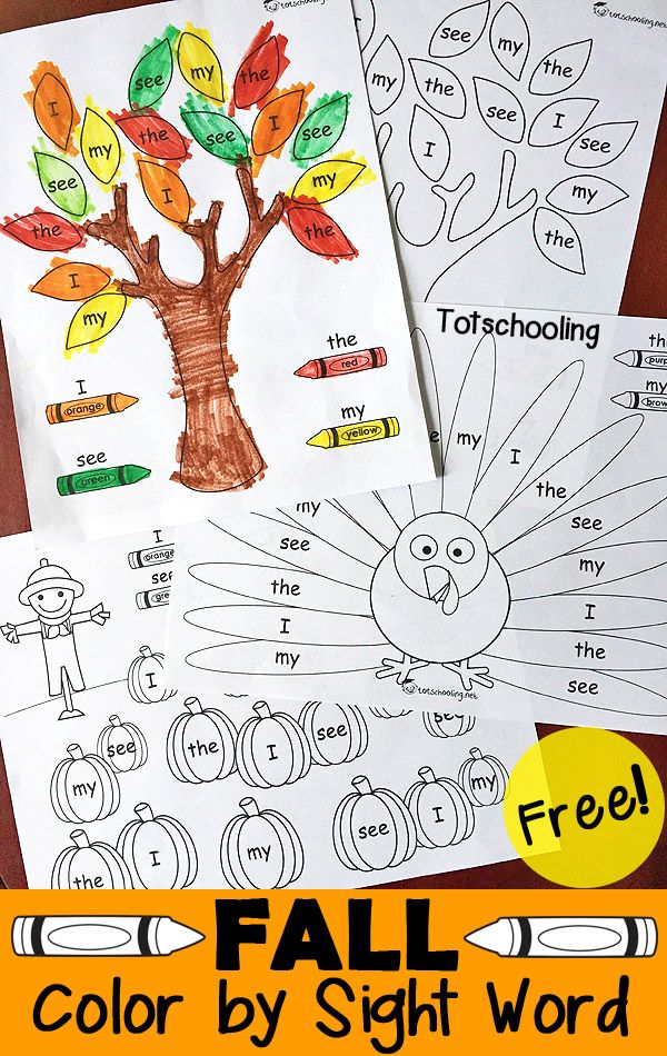 fall color by sight worksheet for kids to practice the letter i and y