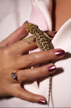 a woman's hand holding a small lizard on top of her finger and ring