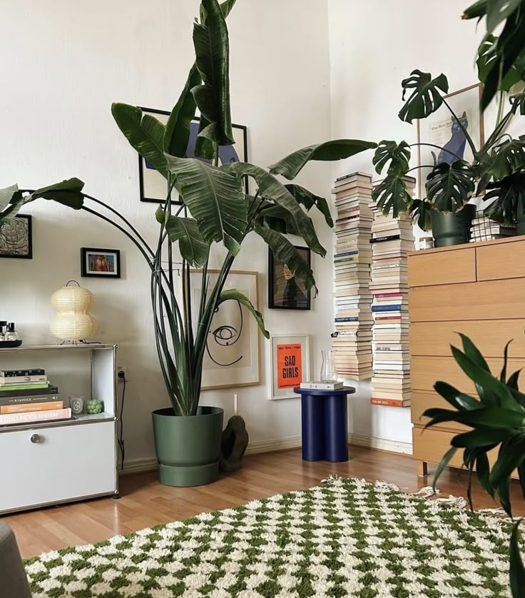 a living room filled with lots of plants next to a white dresser and bookshelf