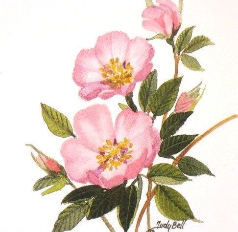 a painting of pink flowers with green leaves