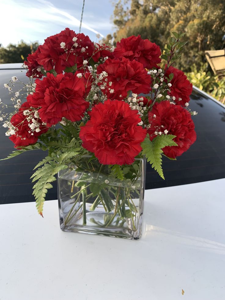 red carnations and baby's breath in a square vase on a table