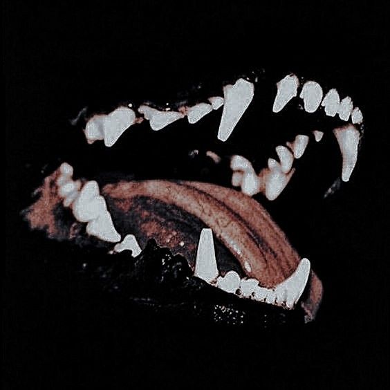 an animal's teeth are shown in this black and white photo with the dark background