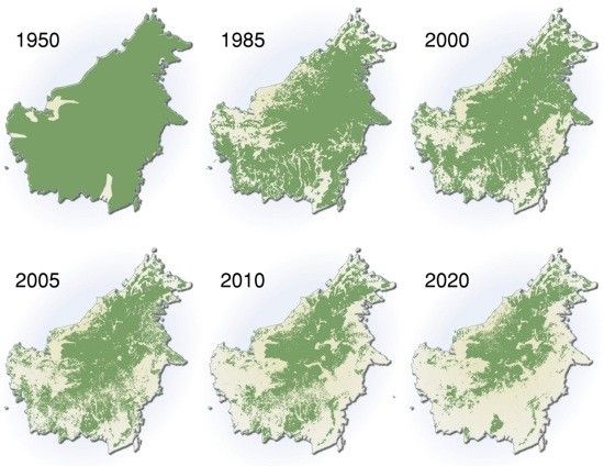 the forest cover in bornee, 1950 - 2010 is shown on this map and shows how much trees have grown