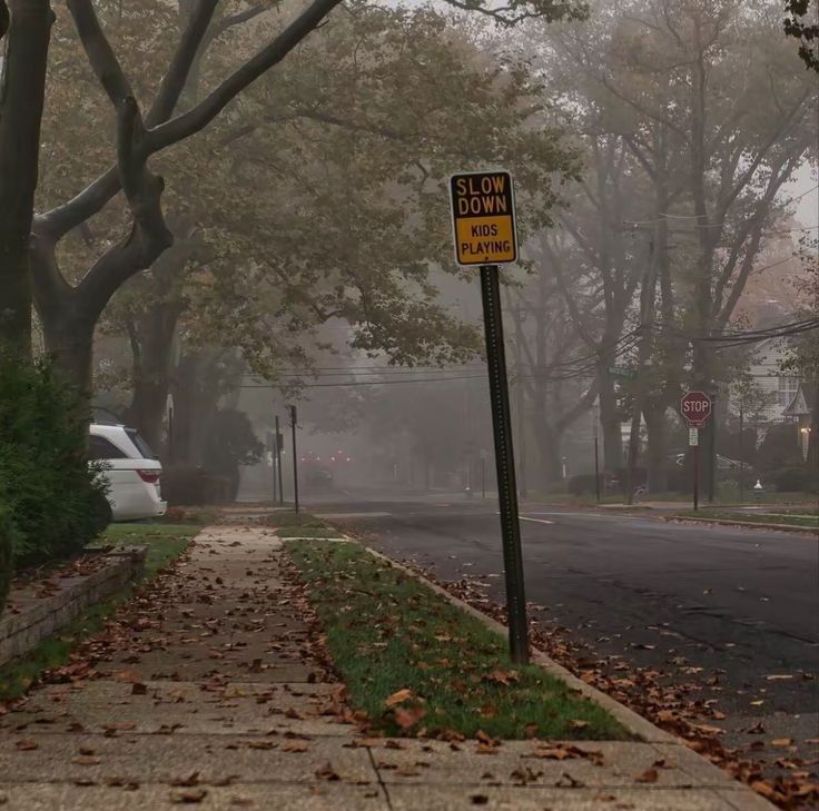 a street sign sitting on the side of a road next to a tree covered sidewalk