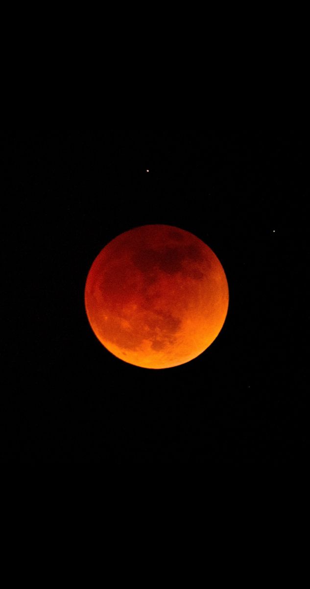 the blood moon is seen in the dark sky