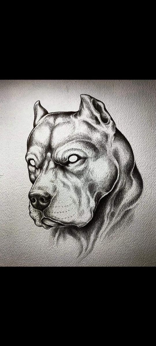 a black and white drawing of a dog's head