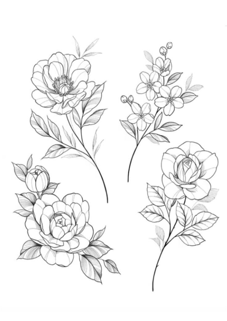 three different flowers with leaves and stems drawn in black ink on white paper, each flower has