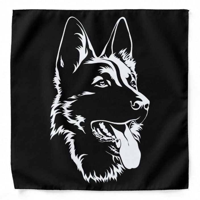 a black and white german shepard dog scarf