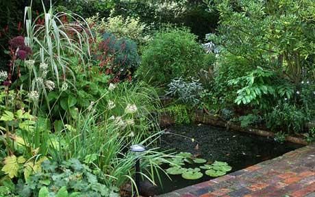 a garden filled with lots of different types of flowers and plants next to a brick walkway