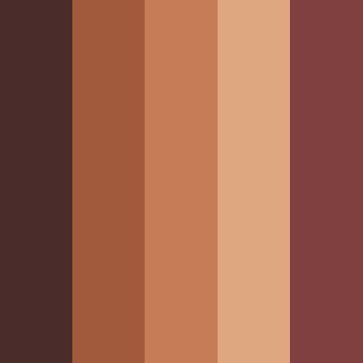 an image of different shades of brown and pinks in the same color scheme, from dark to light