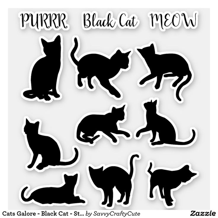 black cat silhouettes on white background with text that says, purr black cat meow