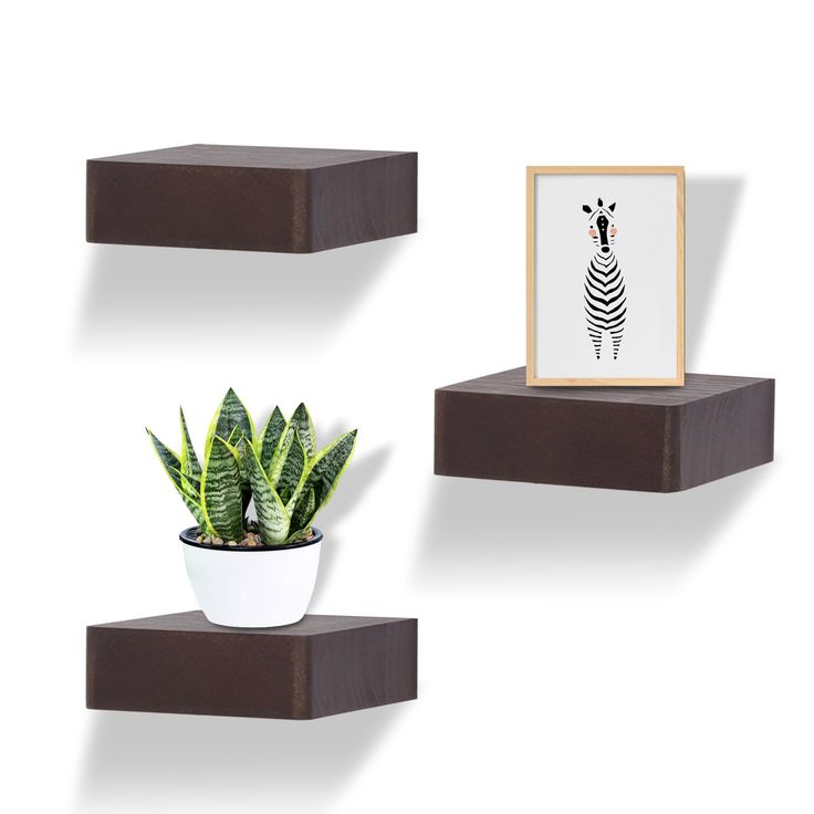 three shelves with plants and pictures on them