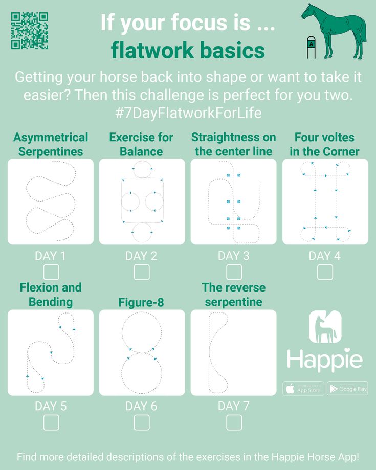 the instructions for how to draw a horse with numbers and symbols in german, english and french