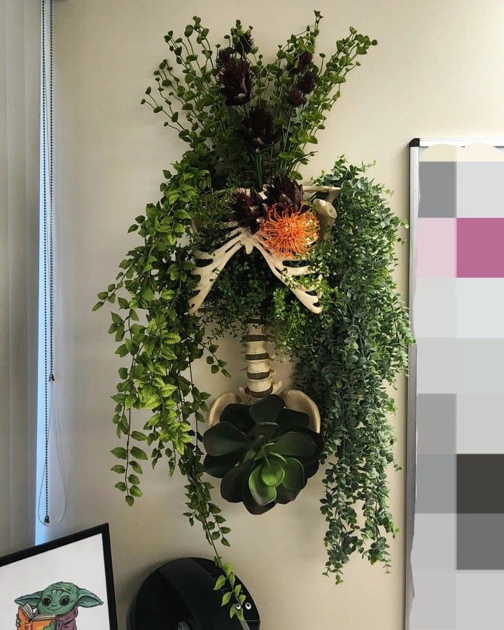 there is a plant hanging on the wall next to a potted plant and some pictures