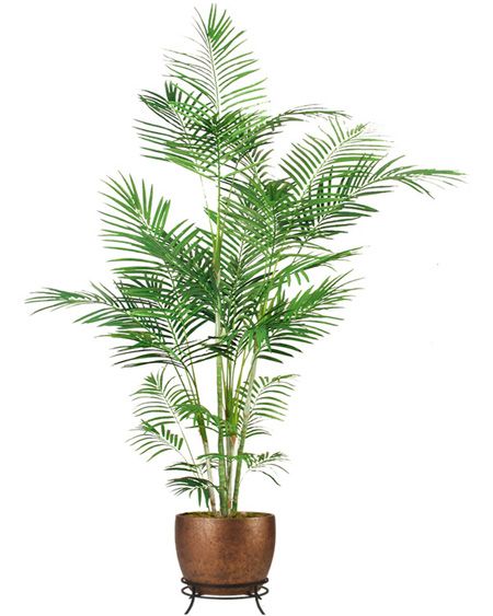 a potted plant with green leaves in it