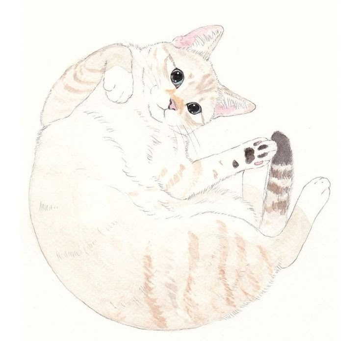 a drawing of a cat sitting on its back with it's paw in the air