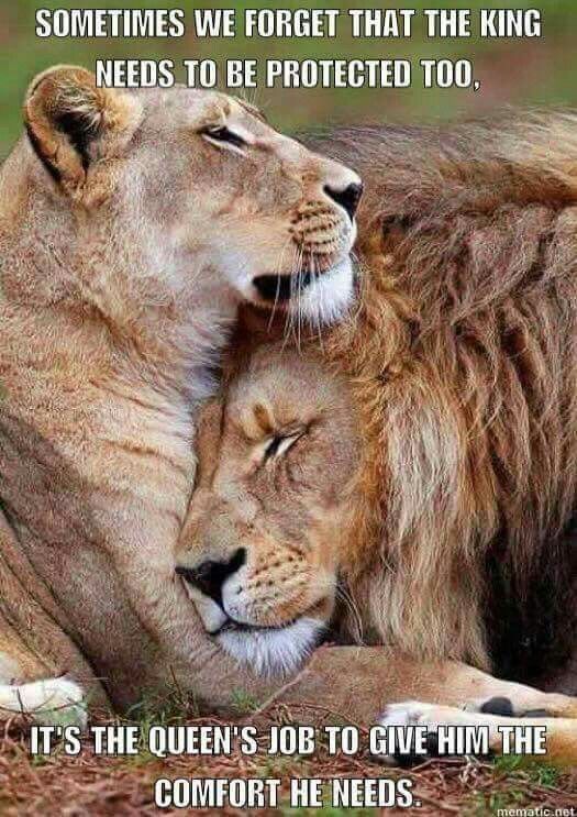 two lions cuddling together with each other on the ground, captioning that every man needs a woman when his life is a mess, because he's a game of chess