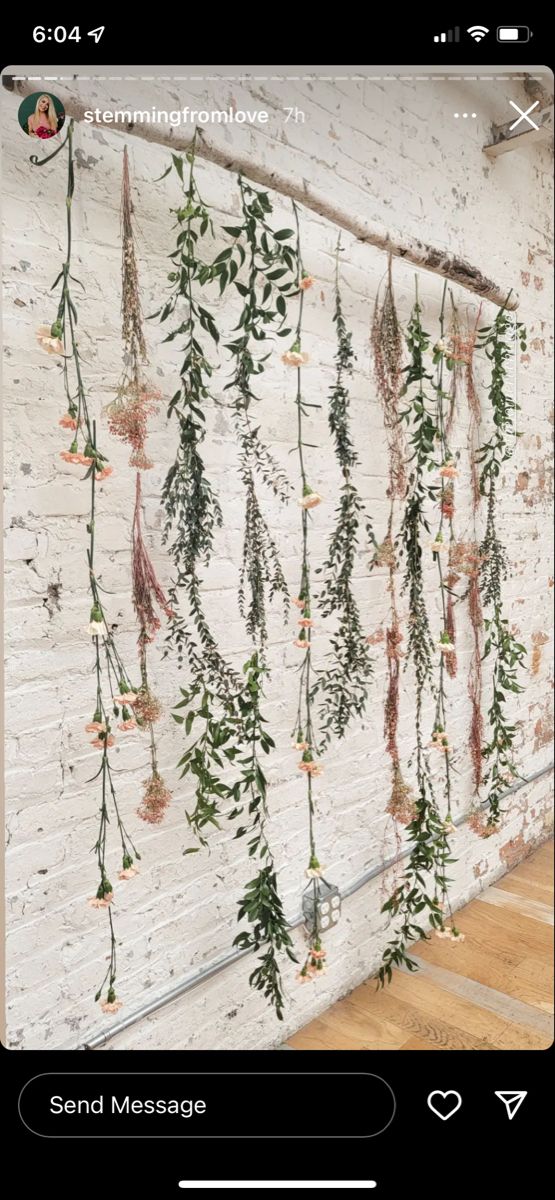 a white brick wall with plants hanging from it's sides and the words send message below