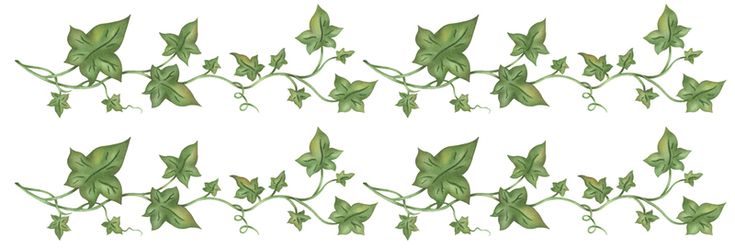 a set of green vines with leaves