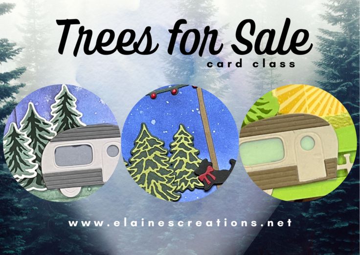 trees for sale card class banner