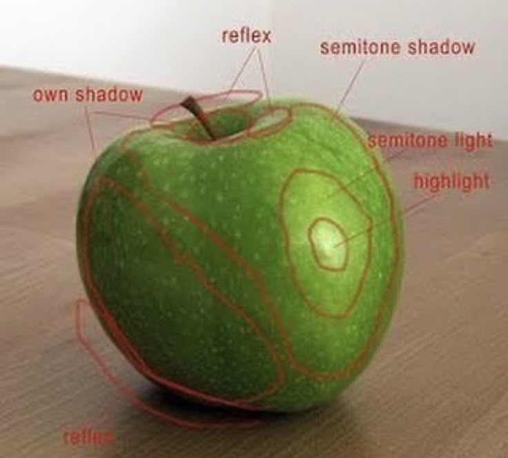 an apple labeled with all the parts labelled on it's side, sitting on a wooden surface